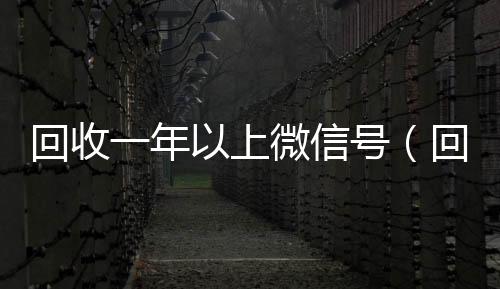 回收一年以上微信24小时收微信号（回收一年以上微信号干嘛）